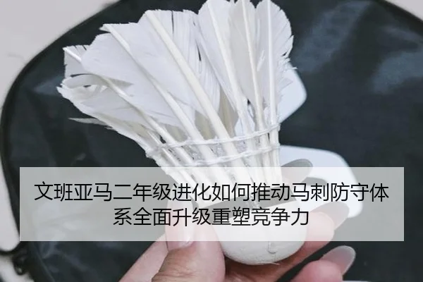 文班亚马二年级进化如何推动马刺防守体系全面升级重塑竞争力